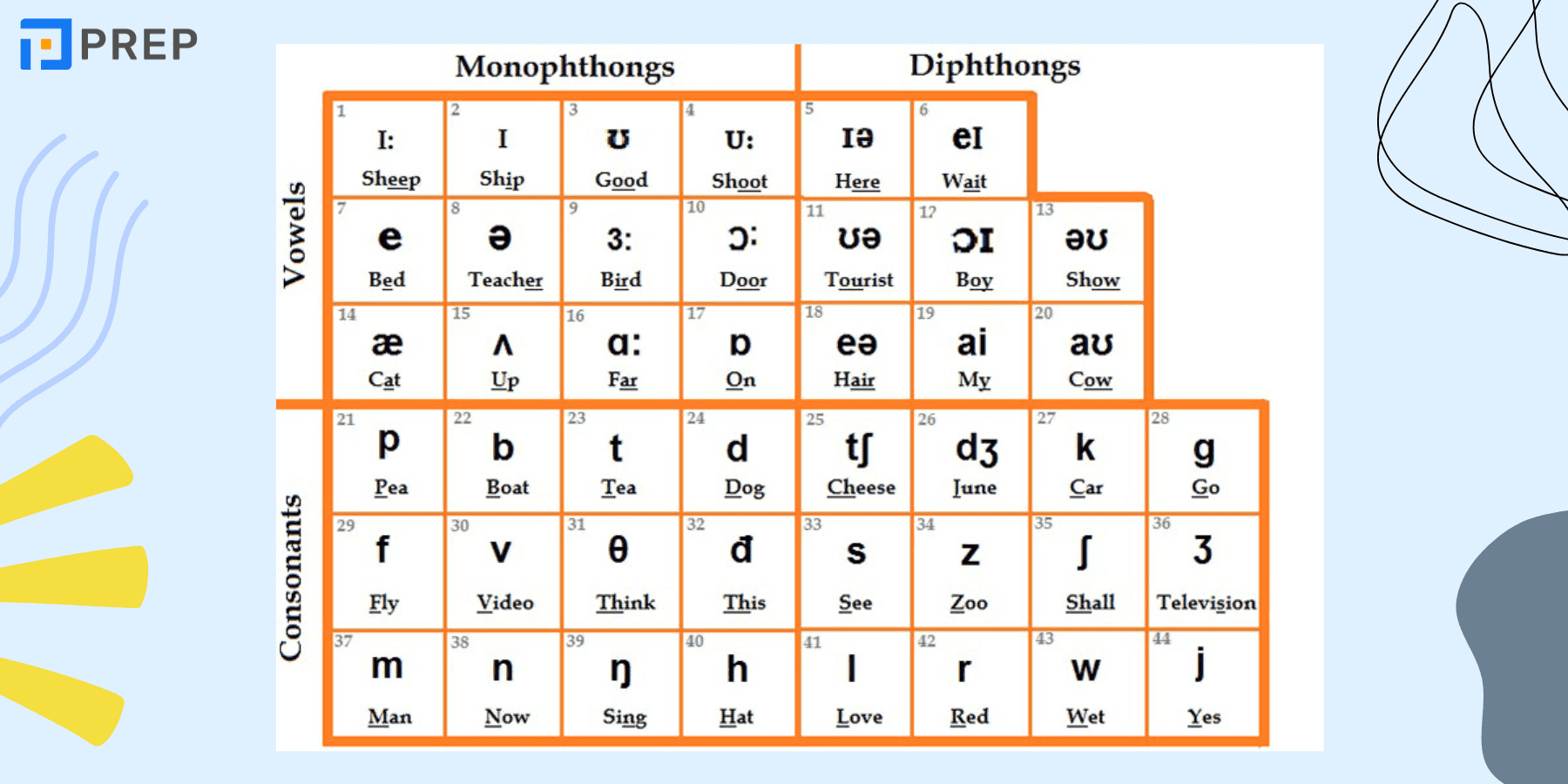 국제 음성 기호(IPA)의 체계적 이해: 조음 원리 및 상세한 발음 지침