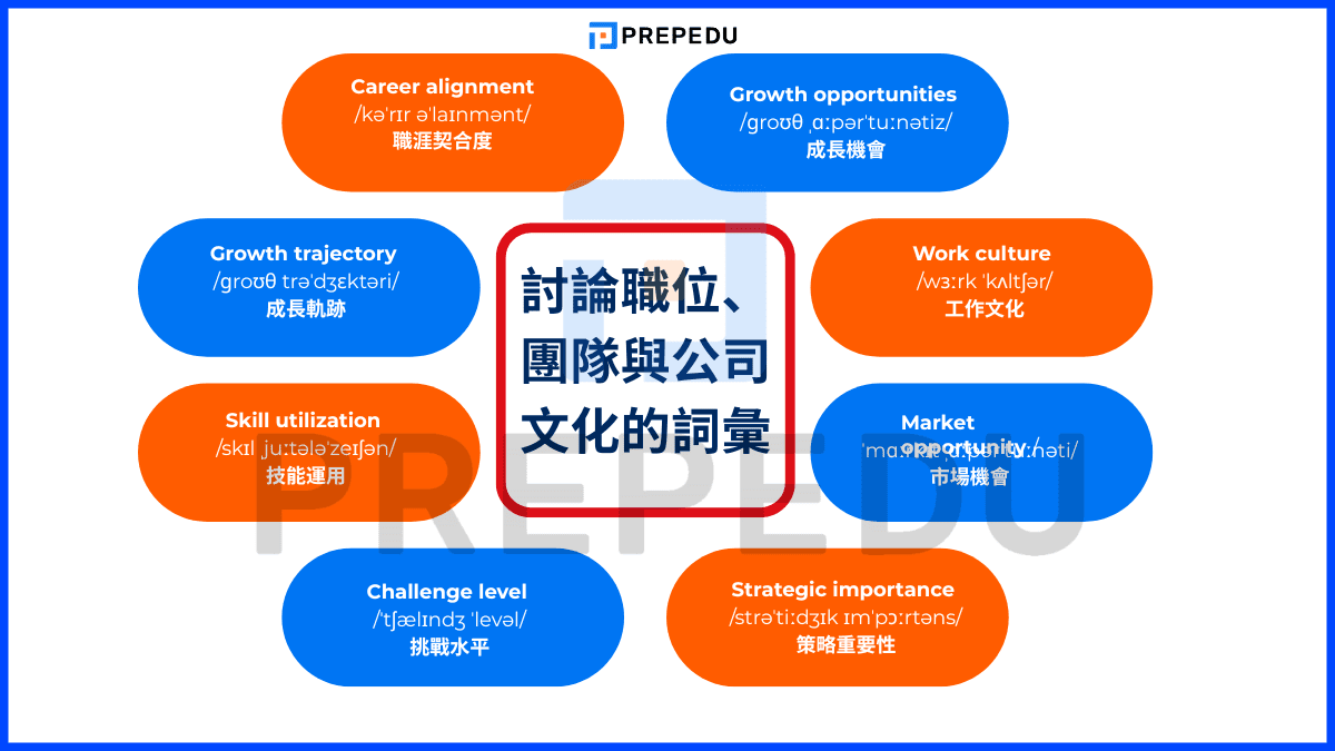 討論職位、團隊與公司文化的詞彙