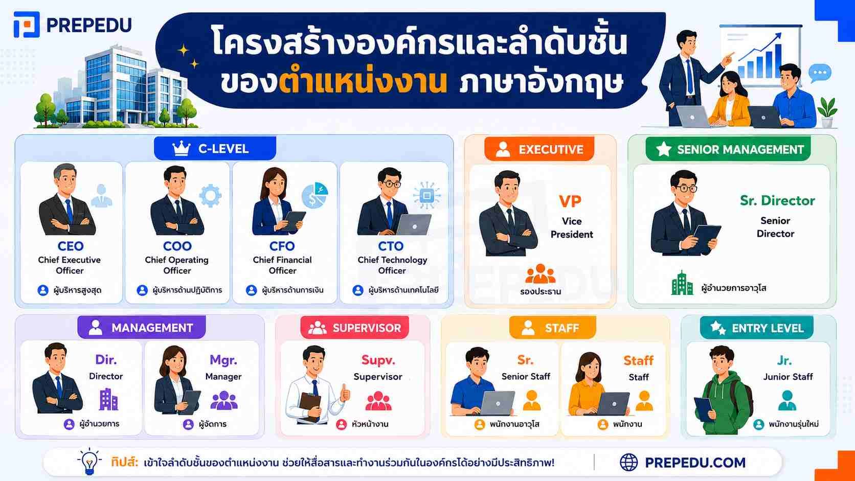 โครงสร้างองค์กรและลำดับชั้นของ ตําแหน่งงาน ภาษาอังกฤษ