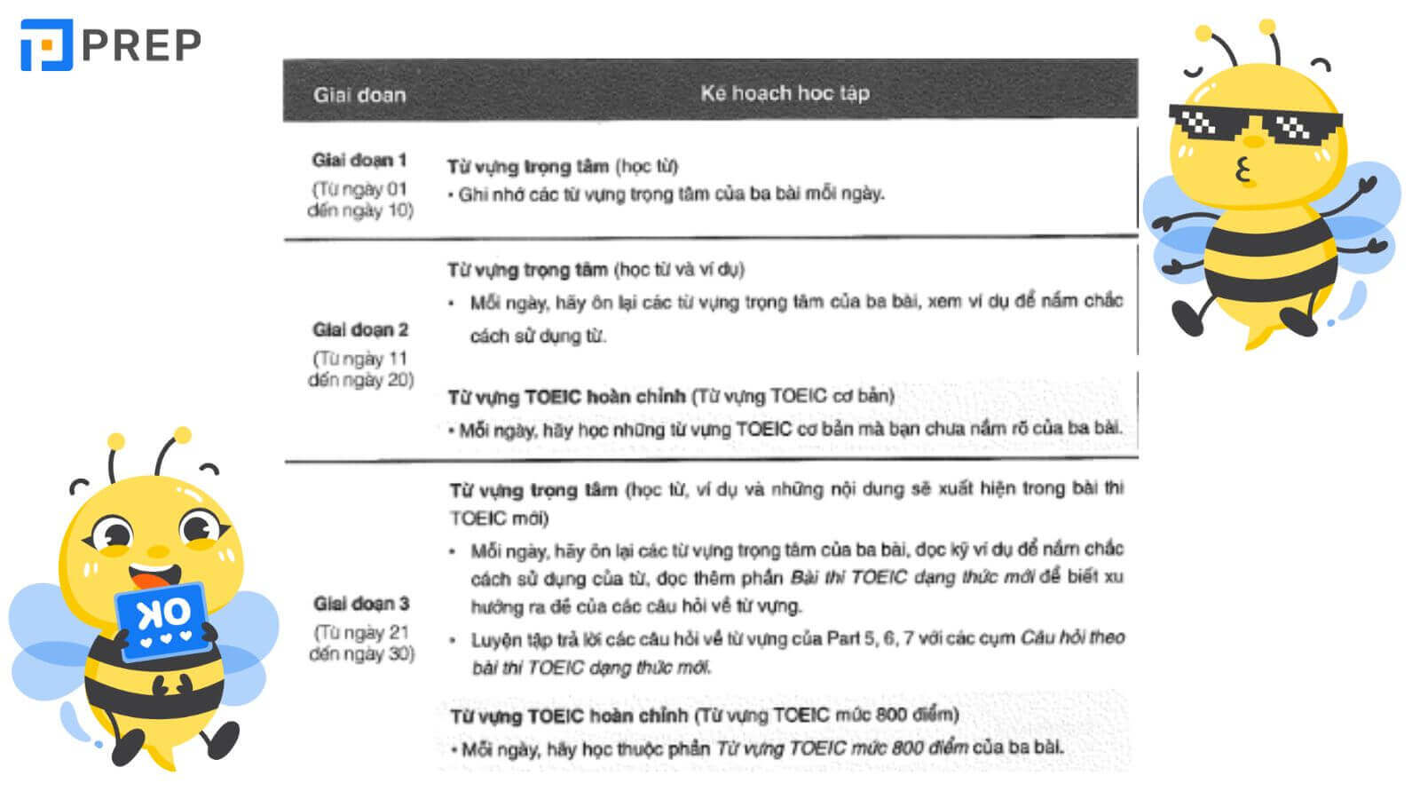 Kế hoạch chinh phục mục tiêu 800 điểm TOEIC