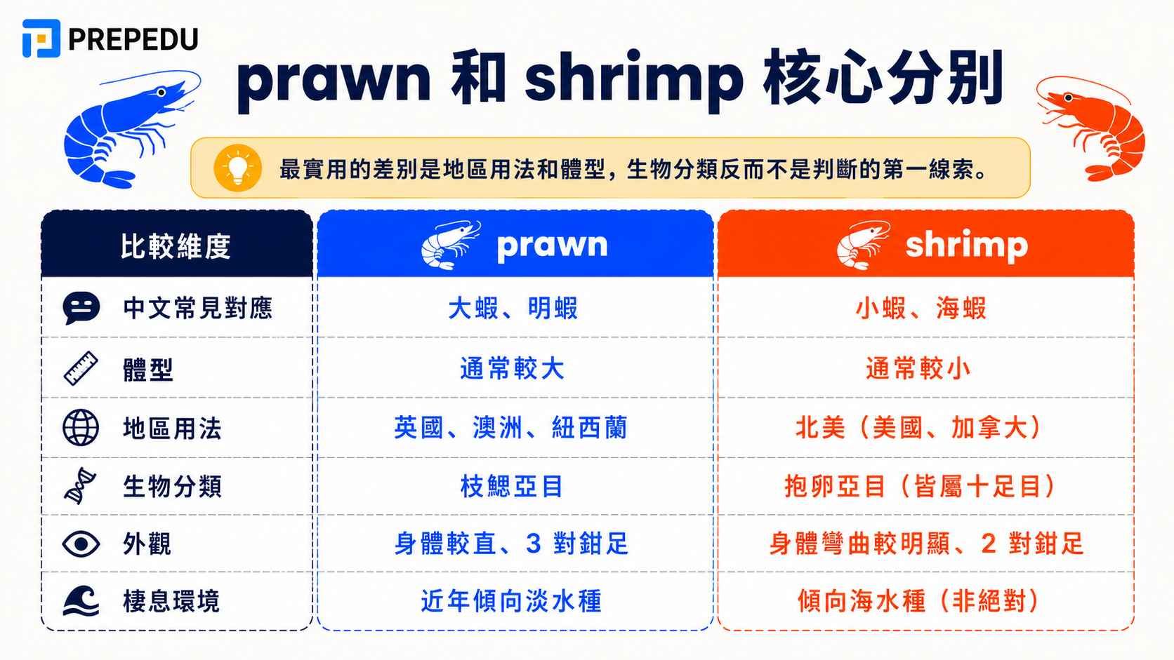 key-differences-between-prawn-and-shrimp.jpg