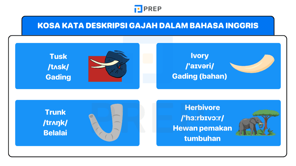 Fondasi Kosakata untuk Deskripsi Gajah dalam Bahasa Inggris yang Akurat
