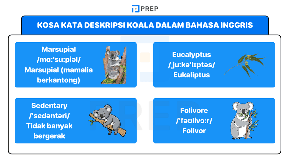 Memperkaya Deskripsi Koala dalam Bahasa Inggris dengan Diksi yang Lebih Hidup