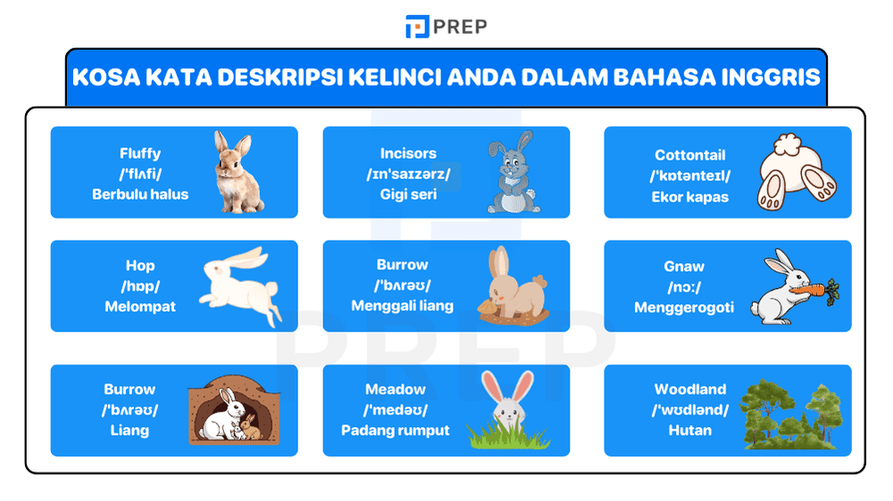Memperkaya Pilihan Kata untuk Deskripsi Kelinci yang Lebih Tajam