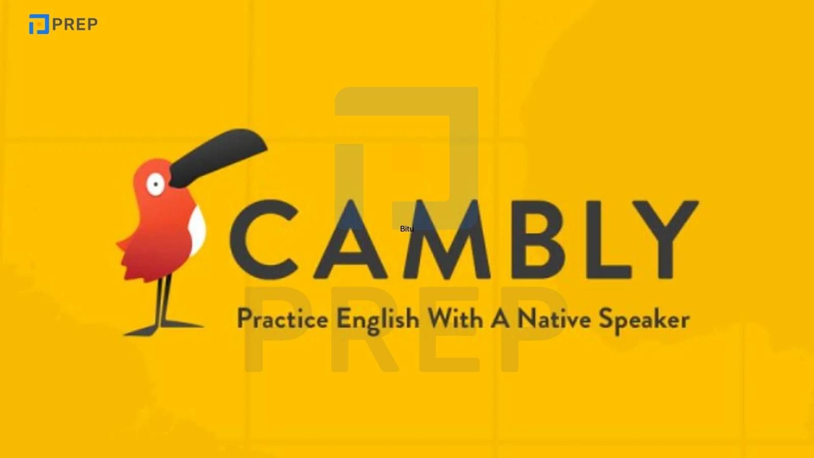 Các khóa học tiếng Anh cho người mất gốc online