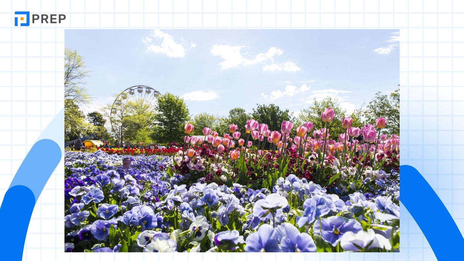 le-hoi-hoa-floriade-canberra.jpg