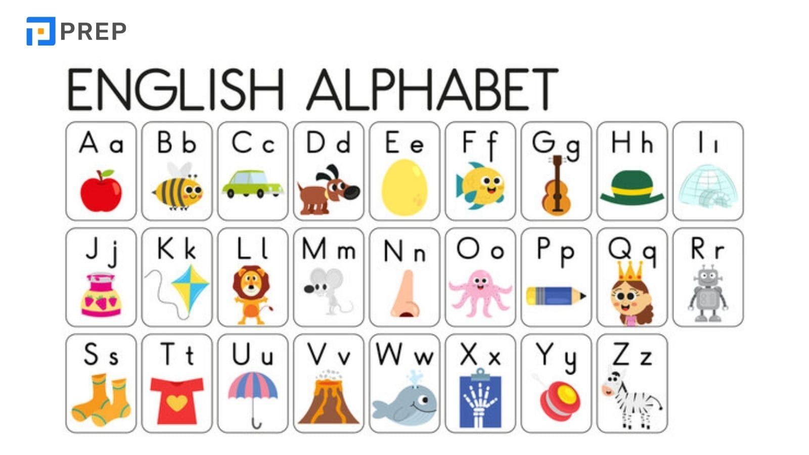 영어 알파벳의 구조적 특징: 문자 수, 분류, 발음 및 정밀 음성 표기의 총정리