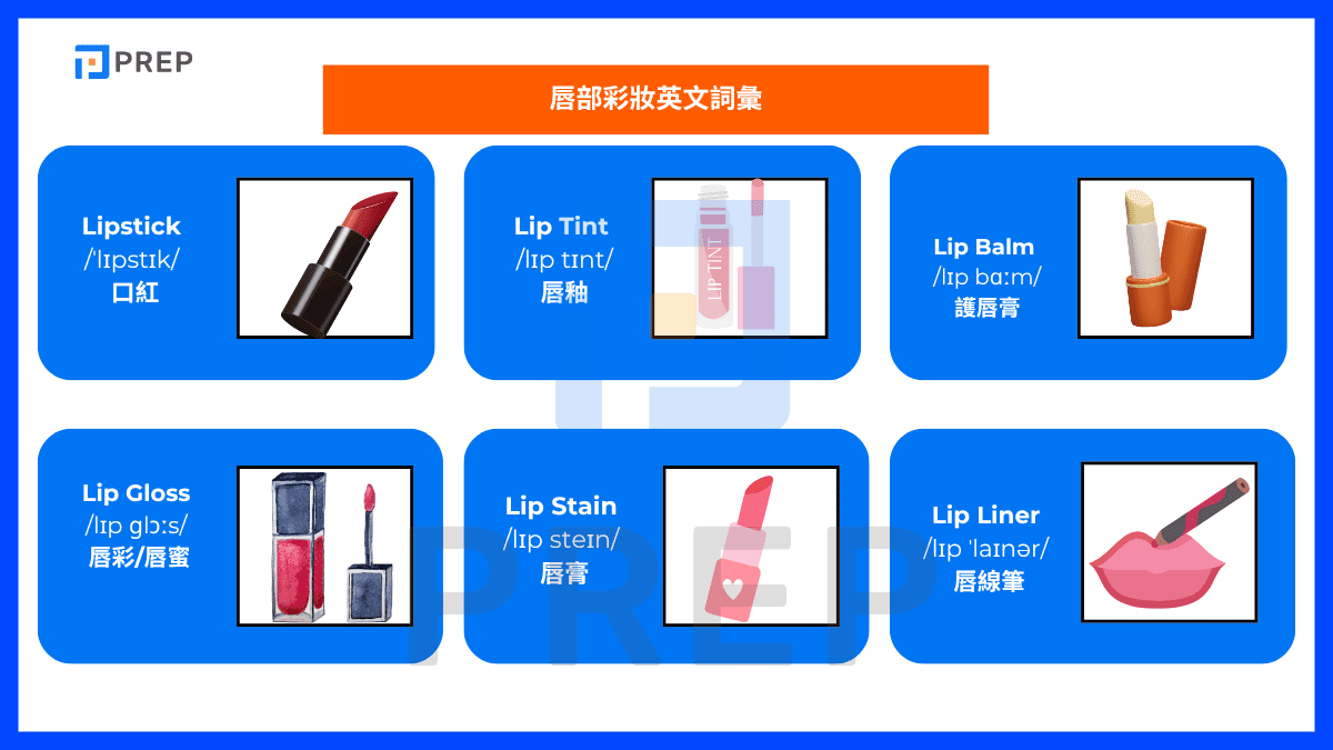 唇部彩妝英文詞彙