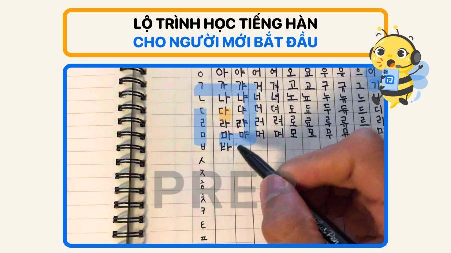 Lộ trình học tiếng Hàn​ cho người mới bắt đầu, ôn thi TOPIK & các nguồn tự học
