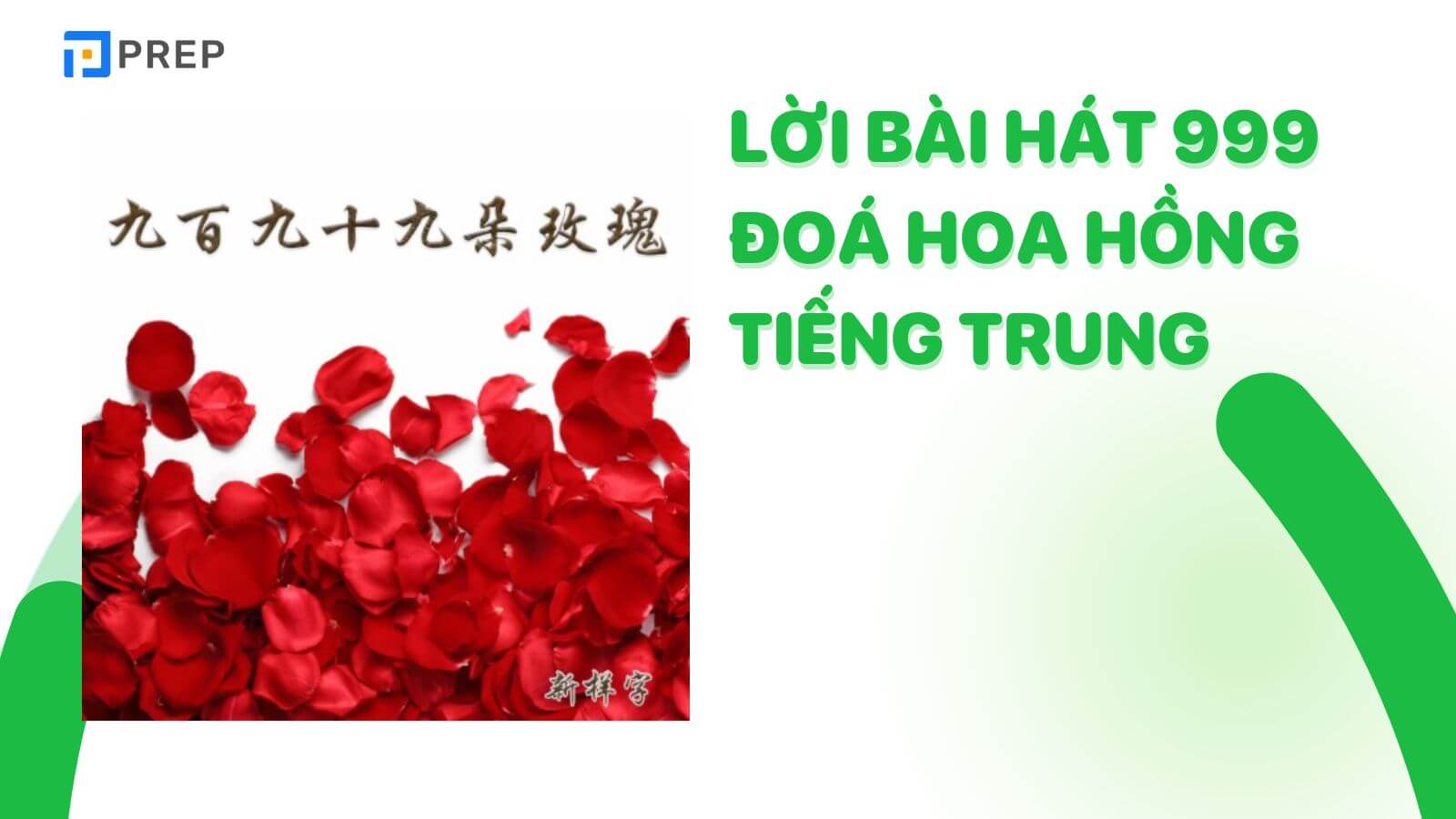 loi-bai-hat-999-doa-hong-tieng-trung.jpg