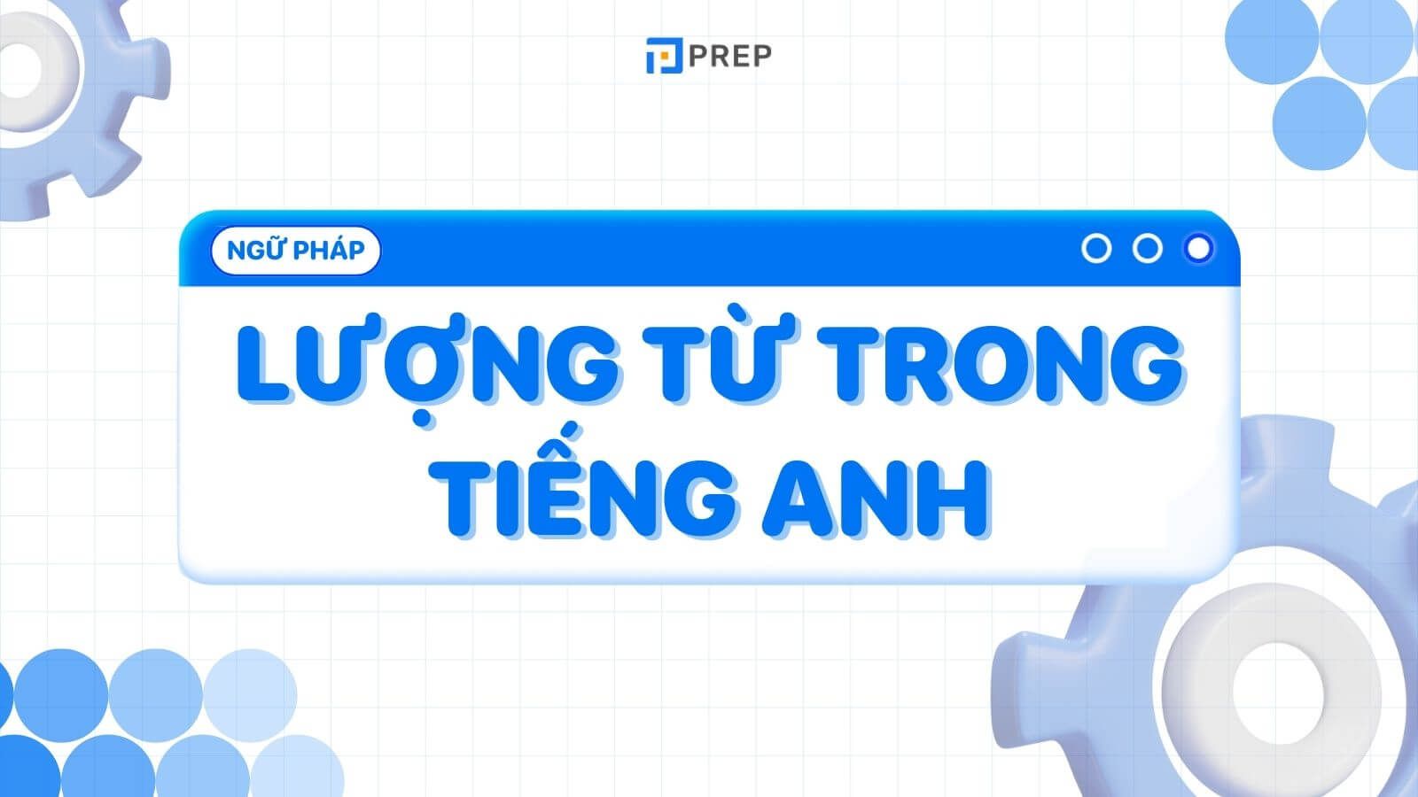 Lượng từ trong tiếng Anh