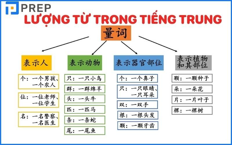 Lượng từ trong tiếng Trung