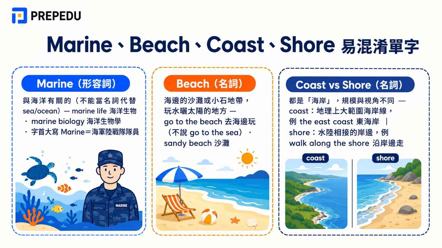 marine-beach-coast-shore-easily-confused-words.jpg