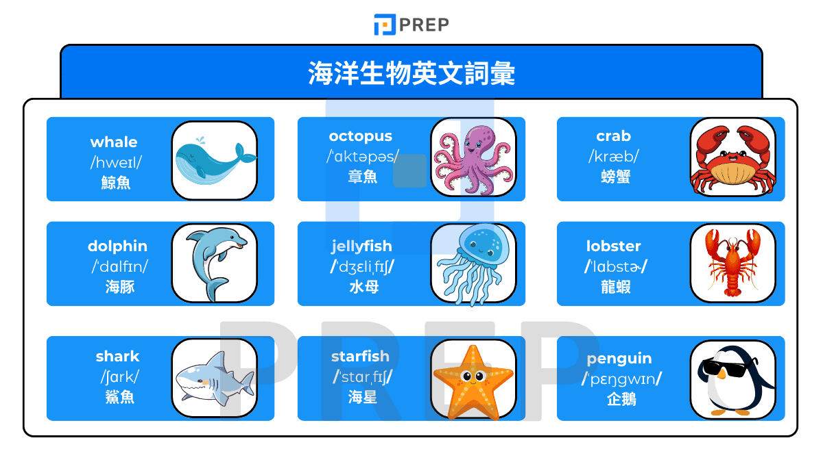 海洋生物英文詞彙