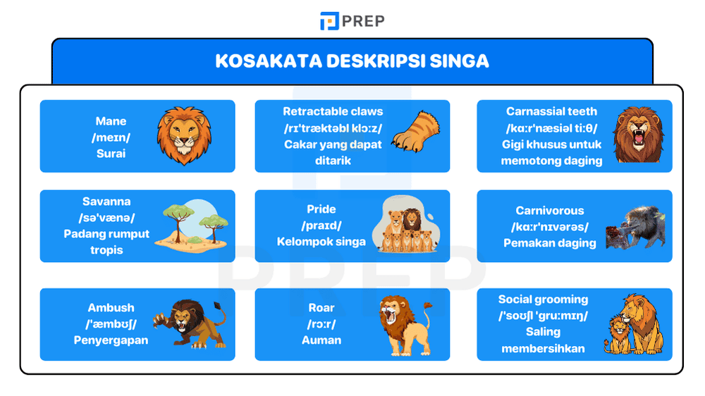 Kosakata Wajib untuk Menulis Deskripsi Singa