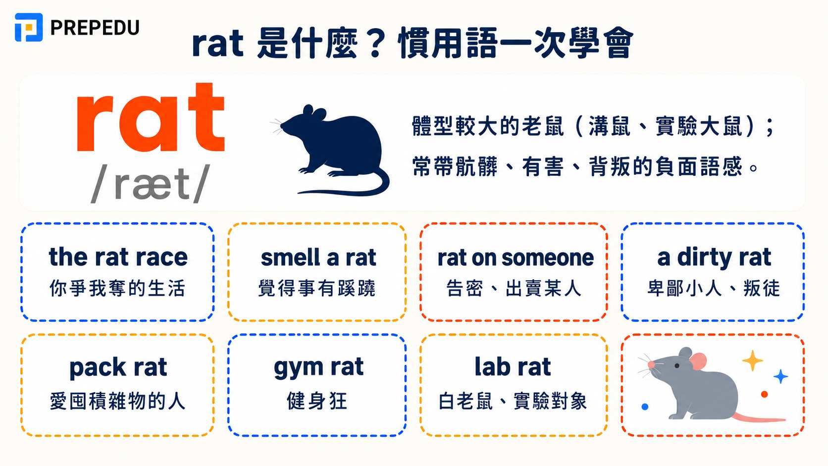 meaning-and-common-usage-of-rat.jpg