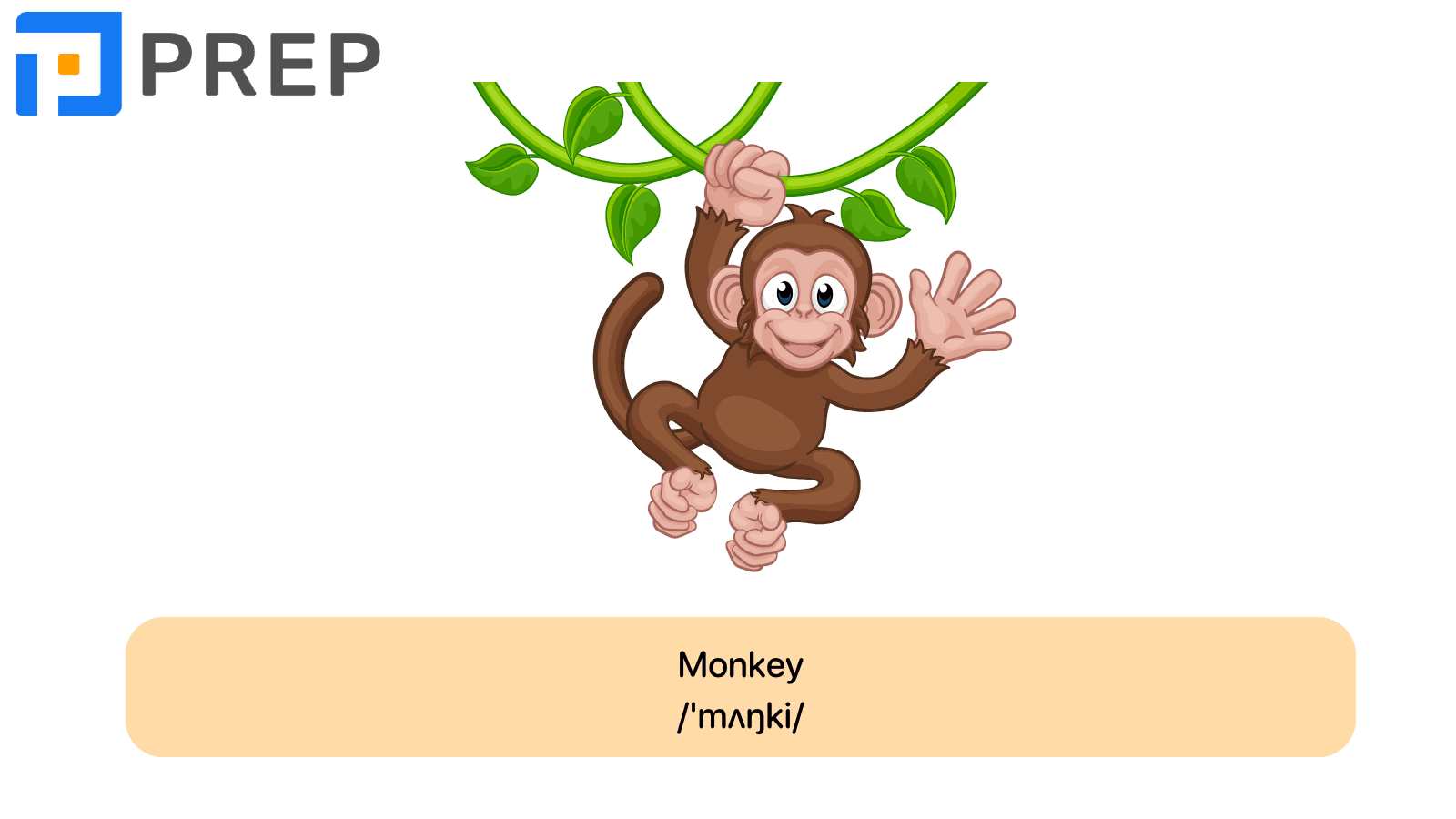 Monkey