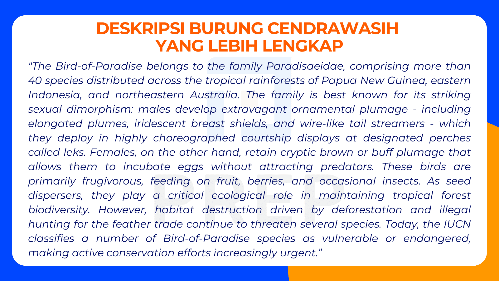 Contoh Deskripsi Burung Cendrawasih dalam Bahasa Inggris yang Lebih Lengkap