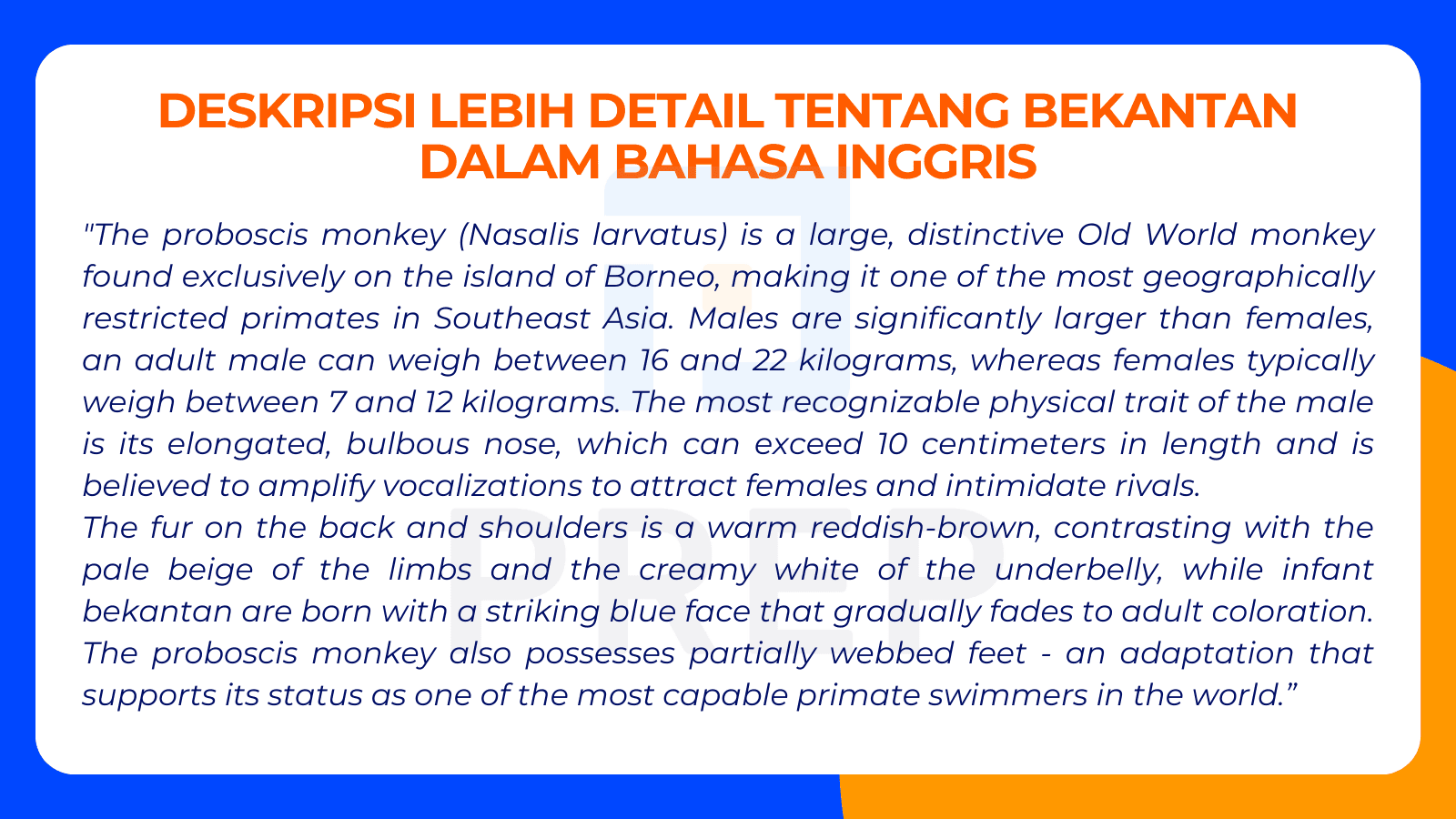 Deskripsi Lebih Detail tentang Bekantan dalam Bahasa Inggris