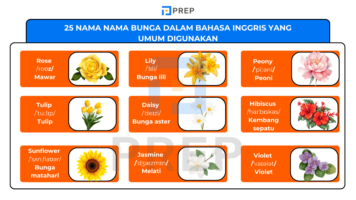 25 nama nama bunga dalam bahasa Inggris yang umum digunakan