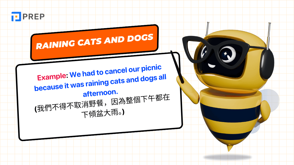 最實用的動物俚語