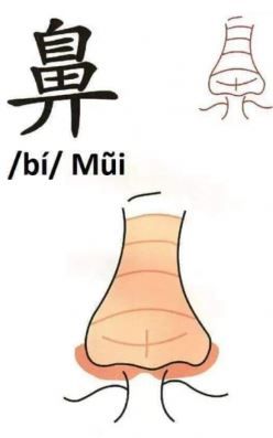 Chữ 鼻