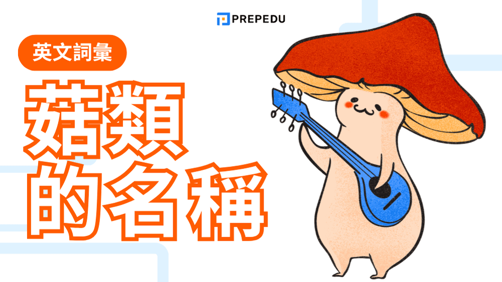 菇類英文大全