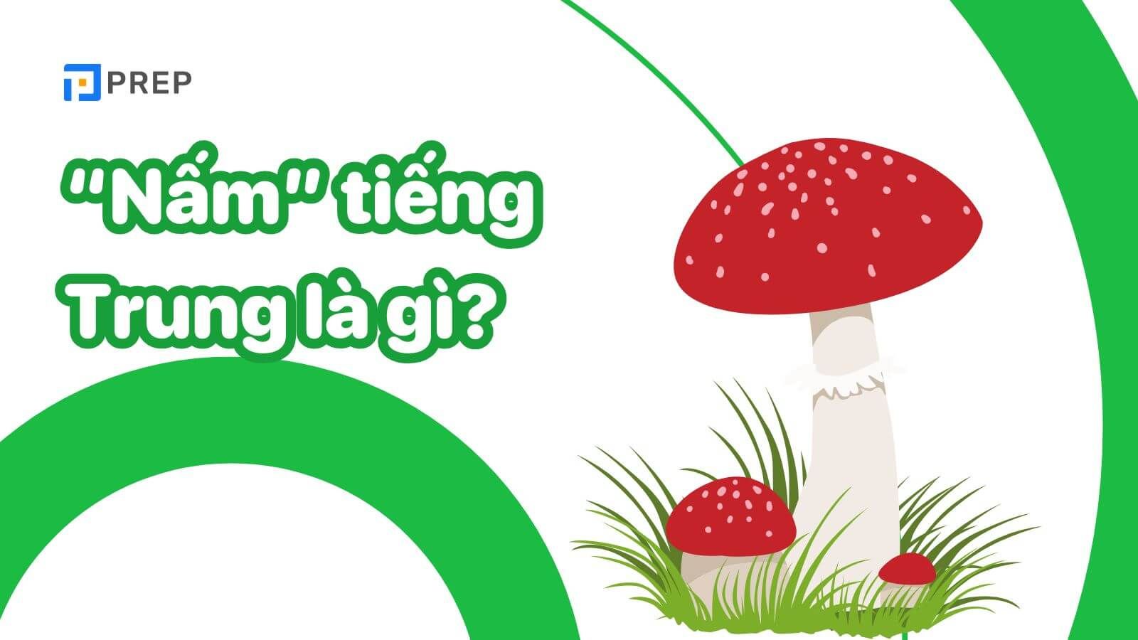 Giải đáp Nấm tiếng Trung là gì?