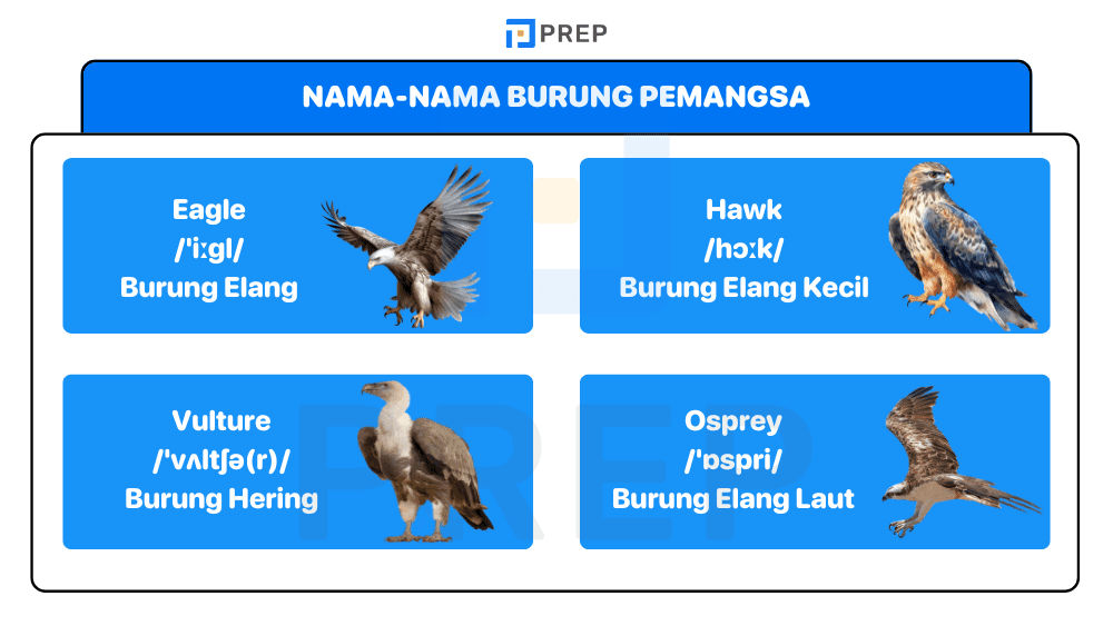 Nama-Nama Burung Pemangsa