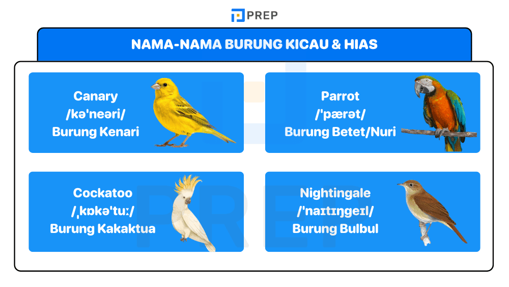 Nama-Nama Burung Kicau dan Hias