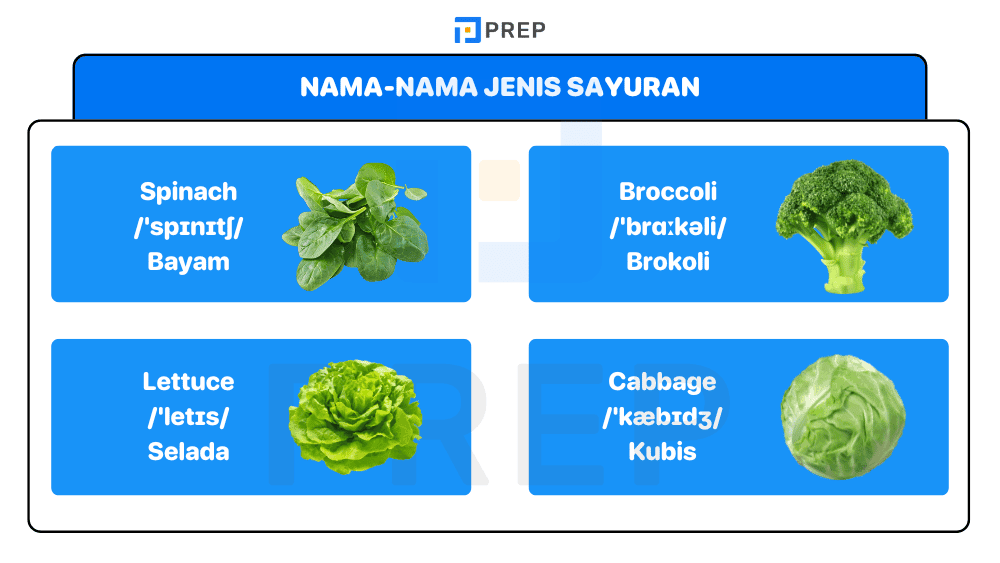 Nama-nama Jenis Sayuran dalam Bahasa Inggris