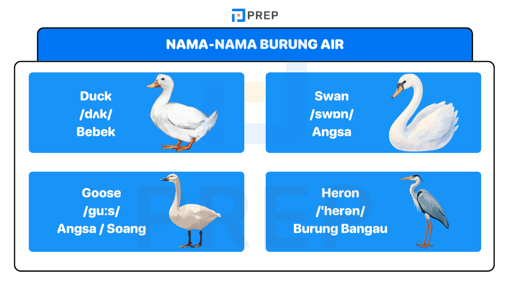 Nama-Nama Burung Air
