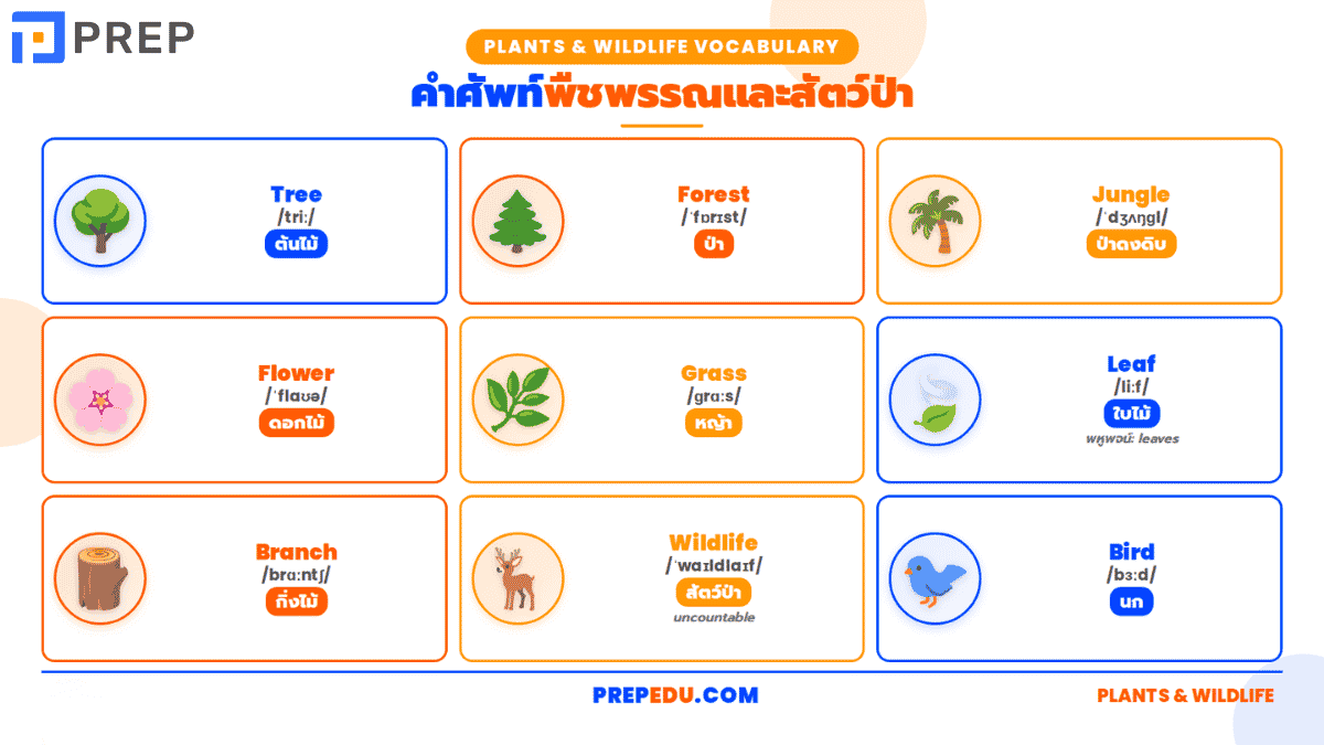 คำศัพท์พืชพรรณและสัตว์ป่า&nbsp;