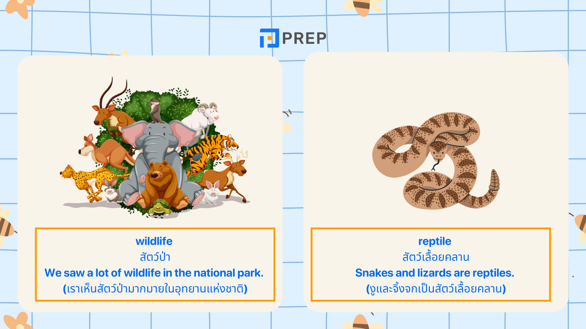 คำศัพท์ภาษาอังกฤษ หมวดธรรมชาติ พร้อมตัวอย่าง