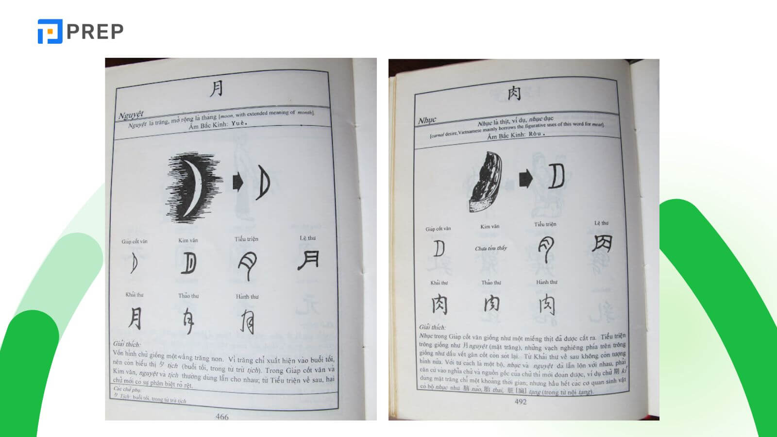 nguon-goc-bo-nhuc-trong-tieng-trung.jpg