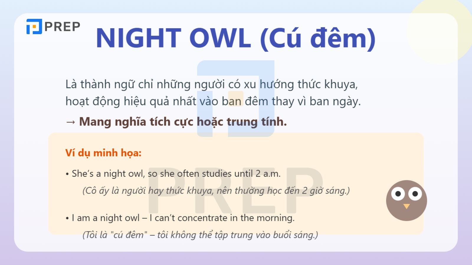 night-owl-la-gi.jpg