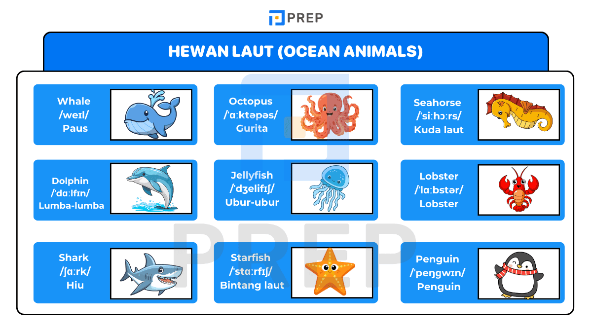 Hewan Laut (Ocean Animals)