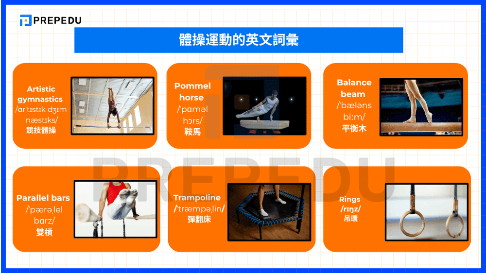 體操運動的英文詞彙