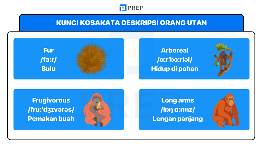 Kosakata Wajib agar Deskripsi Orang Utan Bahasa Inggrismu Lebih Hidup