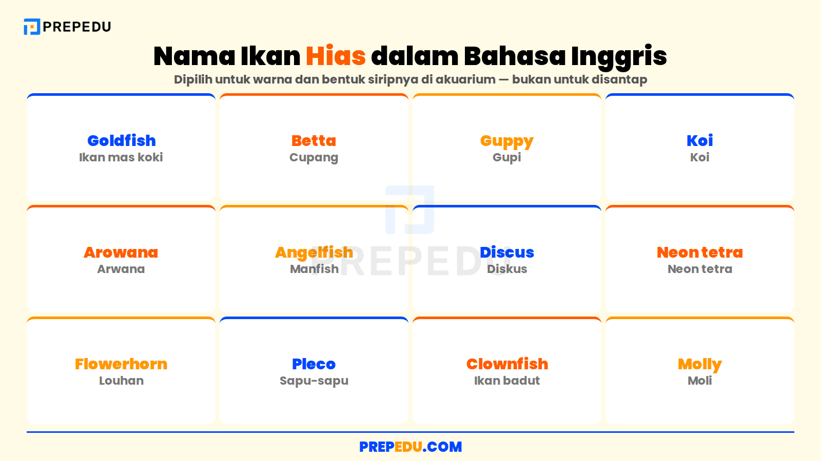 Kumpulan nama ikan hias dalam bahasa Inggris beserta artinya
