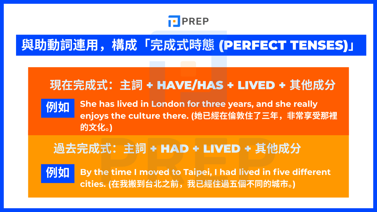 Lived 與助動詞連用,構成「完成式時態 (Perfect Tenses)」