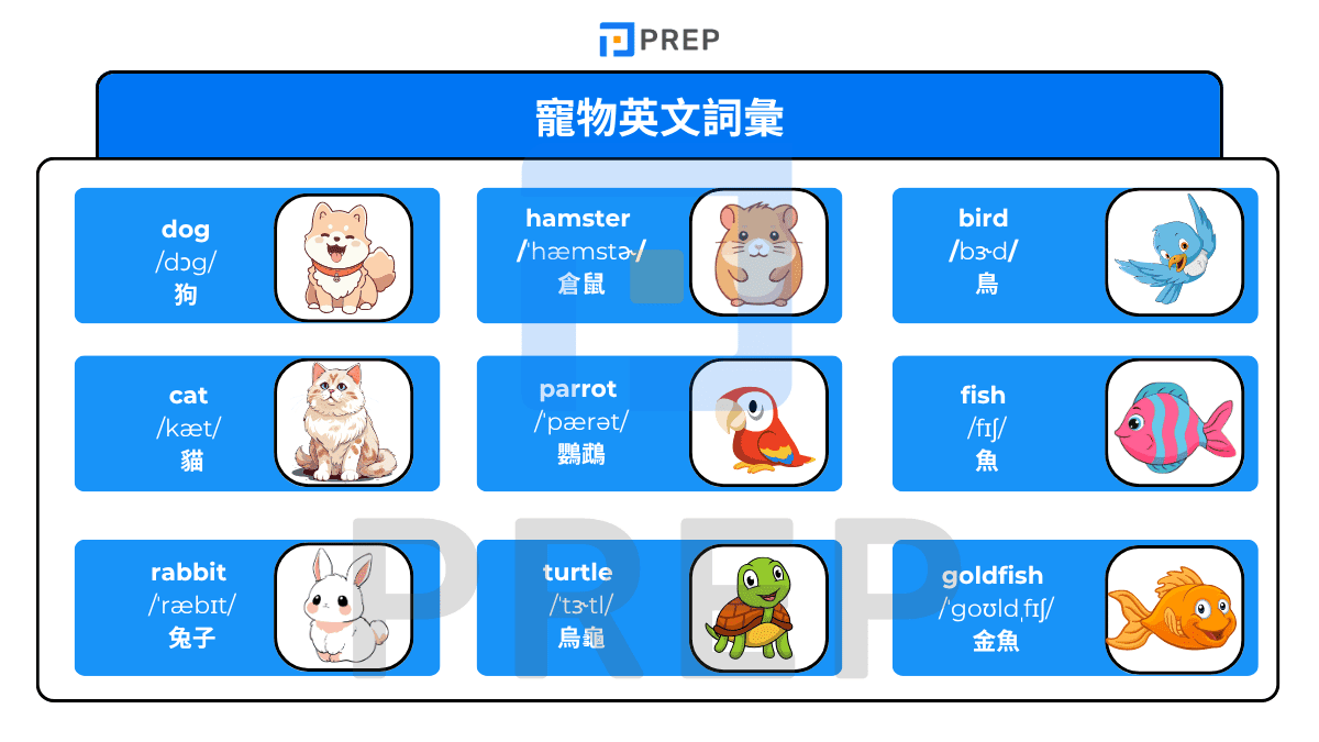 寵物英文詞彙