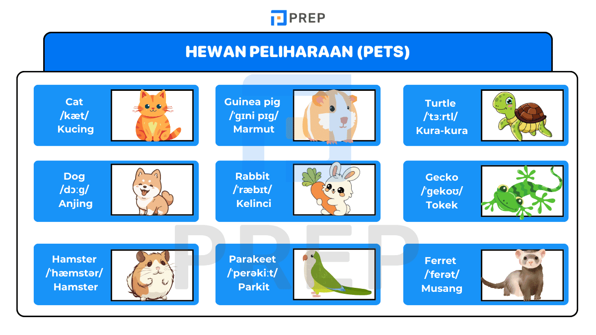 Hewan Peliharaan (Pets)