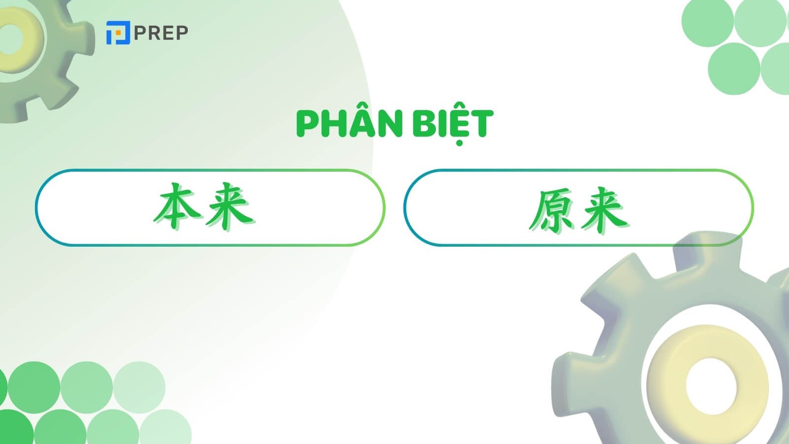 phan-biet-benlai-va-yuanlai.jpg