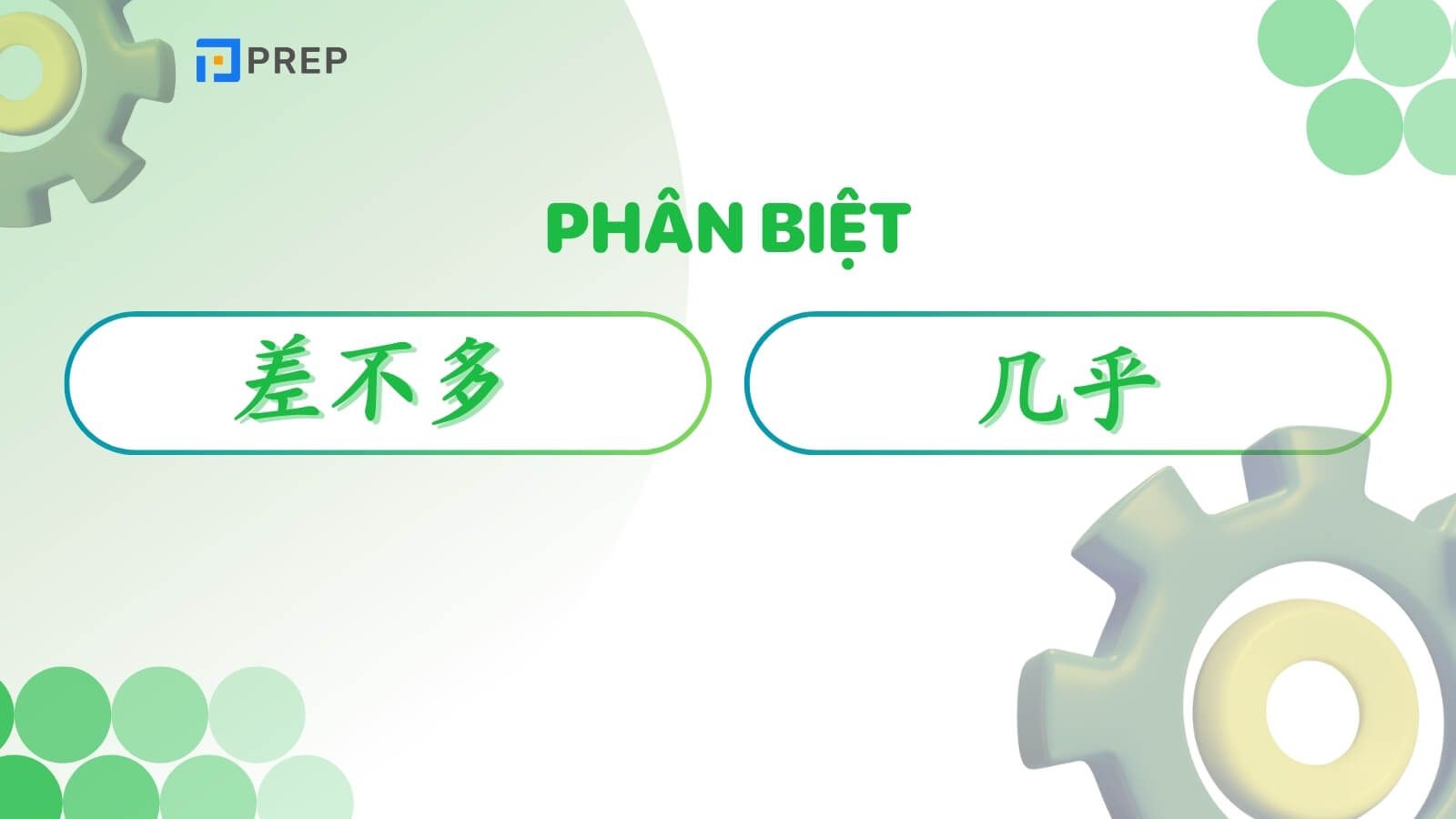 phan-biet-chabuduo-va-jihu.jpg