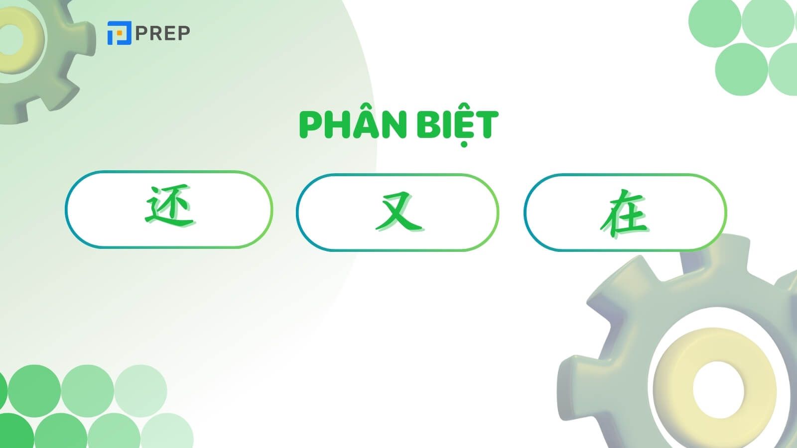 phan-biet-zai-you-hai-tieng-trung.jpg