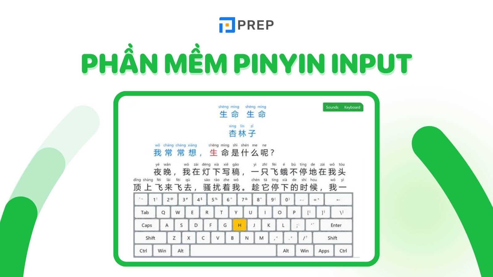 Phần mềm pinyin input