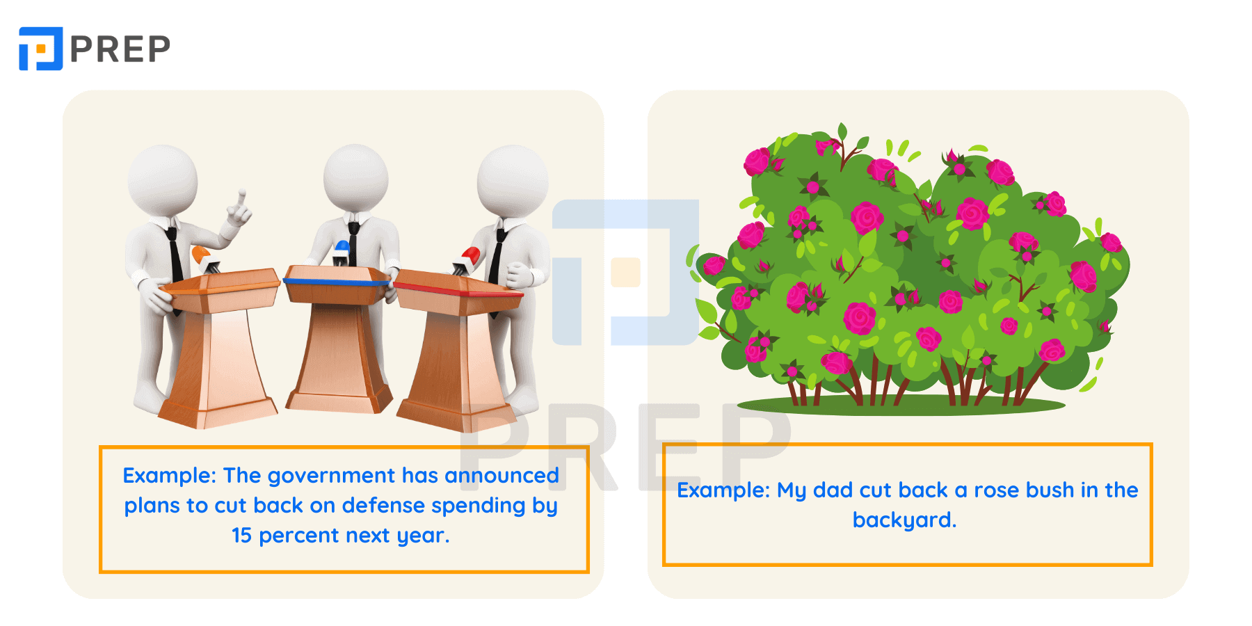 Phrasal verb Cut back trong tiếng Anh
