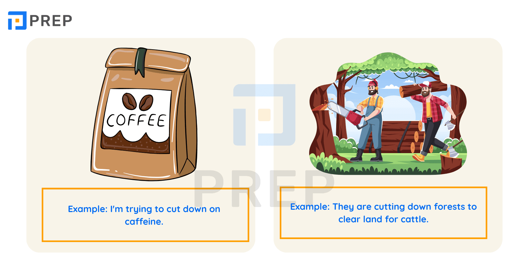 Cut down - Cụm động từ với Cut thông dụng