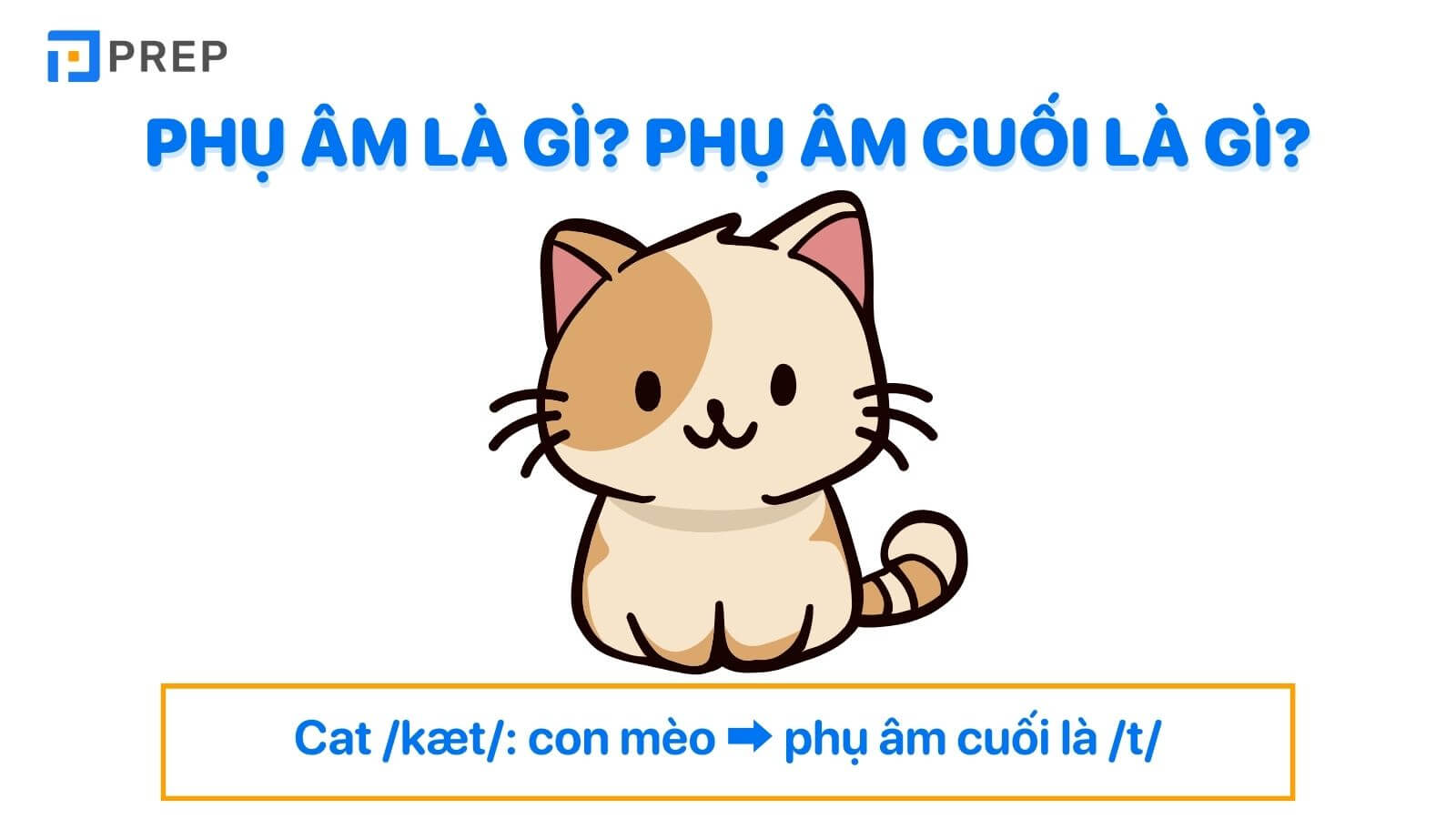 Phụ âm là gì? Phụ âm cuối là gì?